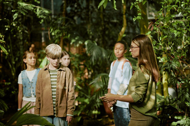 Similar image 21982685