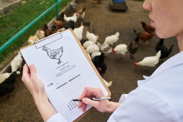 Similar image 21983711