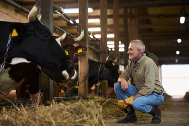 Similar image 21983713