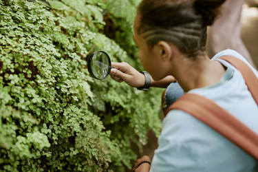 Similar image 21982708