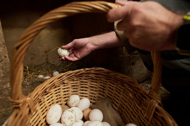 Similar image 21983735