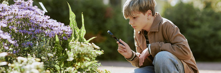 Similar image 21982771