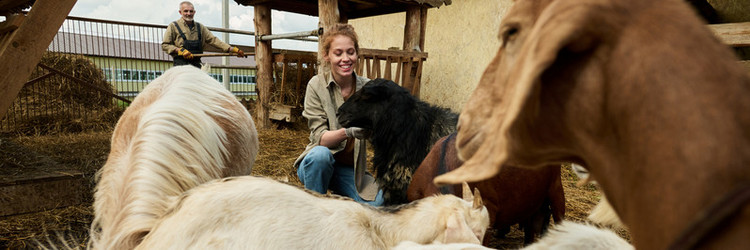 Similar image 21983855