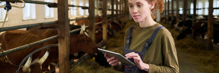 Similar image 21983823