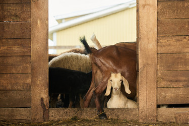 Similar image 21983785