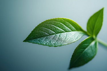 Similar image 21985918