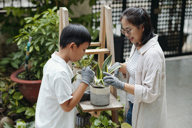 Similar image 21984817