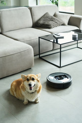 Similar image 21984206