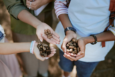 Similar image 21982658