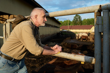 Similar image 21983719