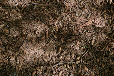 Similar image 21982774