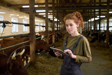 Similar image 21983819