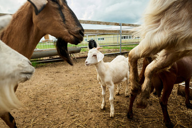 Similar image 21983746