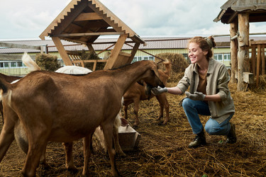 Similar image 21983739