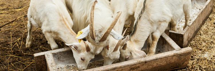 Similar image 21983864