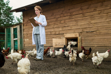 Similar image 21983723