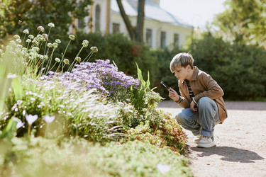 Similar image 21982727