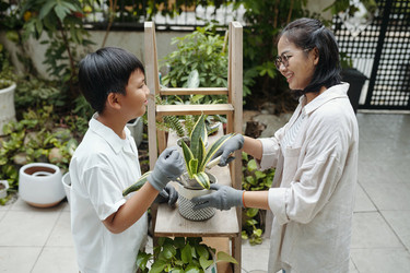 Similar image 21984818