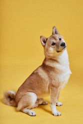 Similar image 21981885