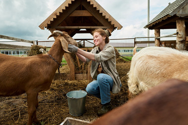 Similar image 21983740