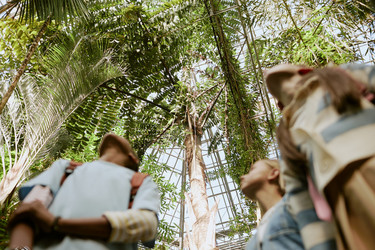 Similar image 21982714