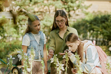 Similar image 21982674