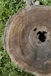 Similar image 21982679