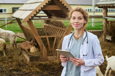 Similar image 21983778