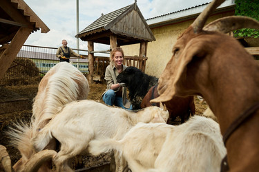 Similar image 21983738