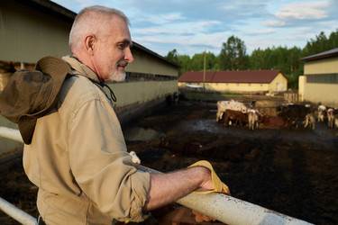 Similar image 21983722