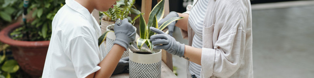 Similar image 21984775