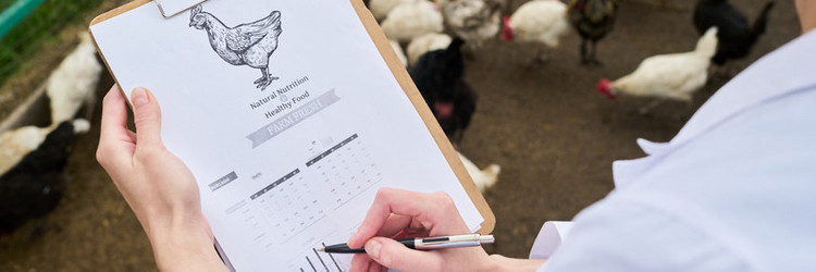 Similar image 21983789