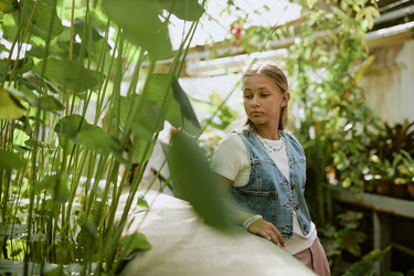 Similar image 21982748