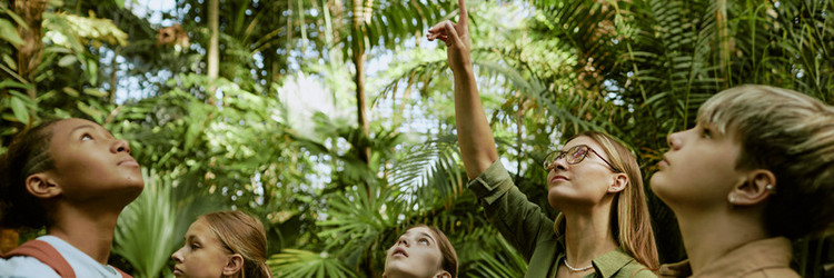 Similar image 21982756