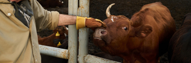 Similar image 21983845