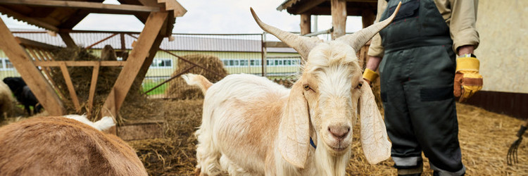 Similar image 21983858