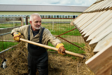 Similar image 21983847