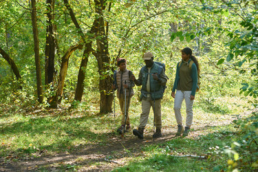 Similar image 21982804