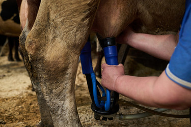 Similar image 21983800