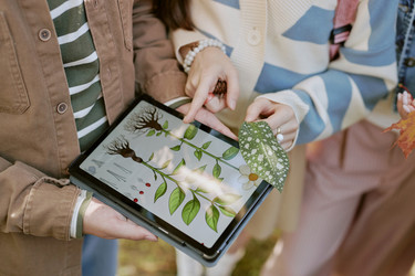 Similar image 21982669