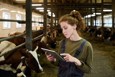 Similar image 21983824