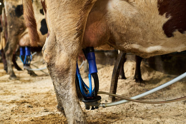 Similar image 21983793