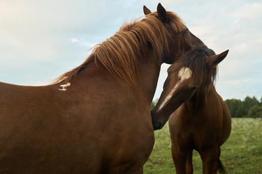 Similar image 21983841