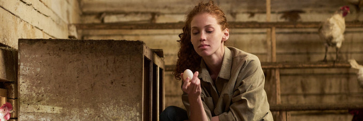 Similar image 21983806