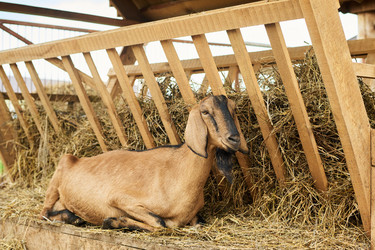 Similar image 21983776