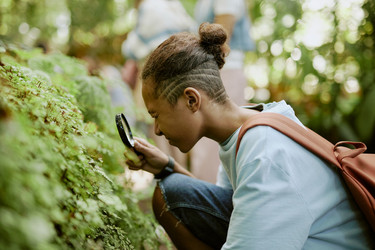 Similar image 21982706