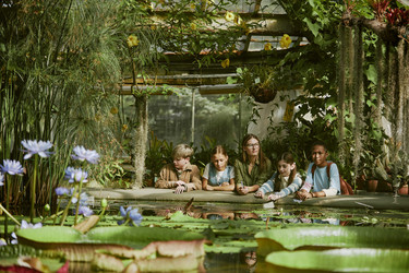 Similar image 21982762