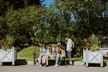 Similar image 21982687