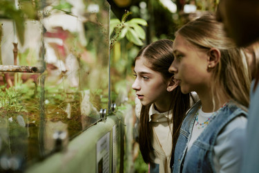 Similar image 21982736