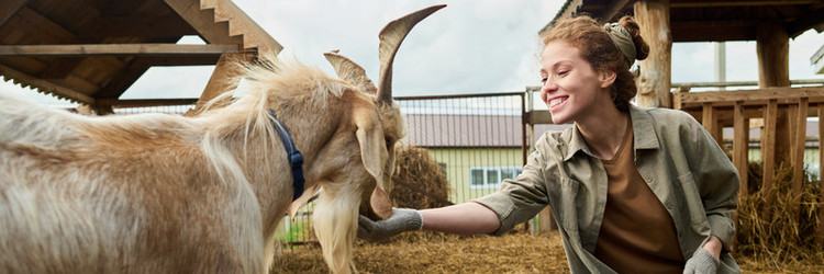 Similar image 21983852